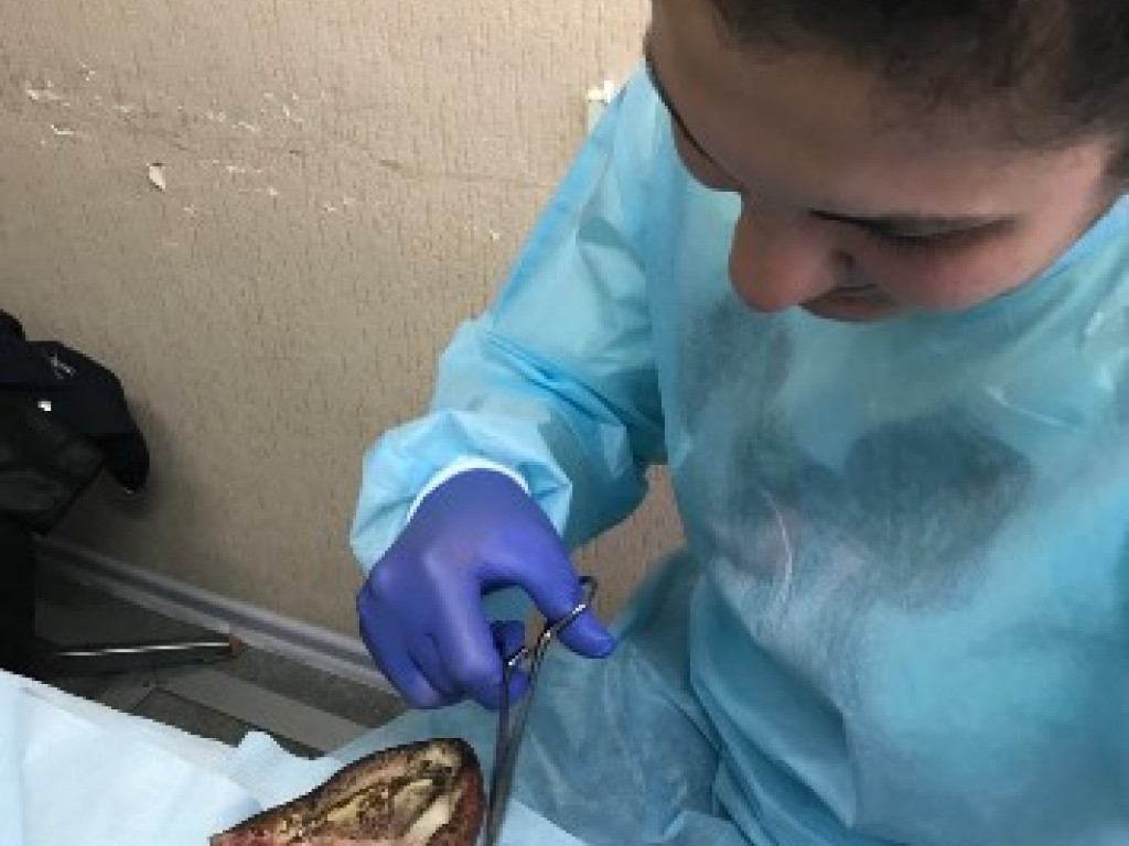 Засідання студентського наукового гуртка кафедри – напрямок секції «стоматологічна імплантологія».